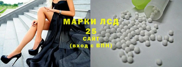 стафф Арсеньев