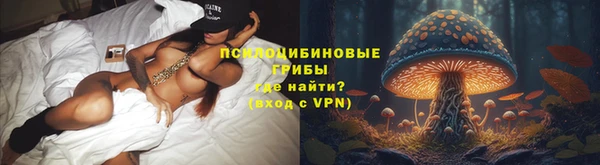 стафф Арсеньев
