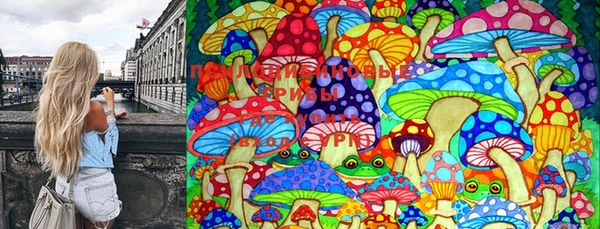 стафф Арсеньев