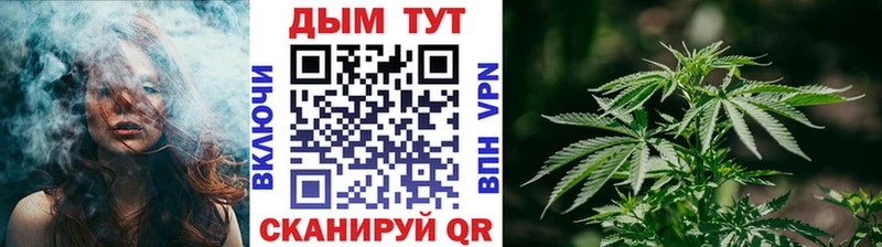 Конопля план  наркотики  гидра онион  Тейково 